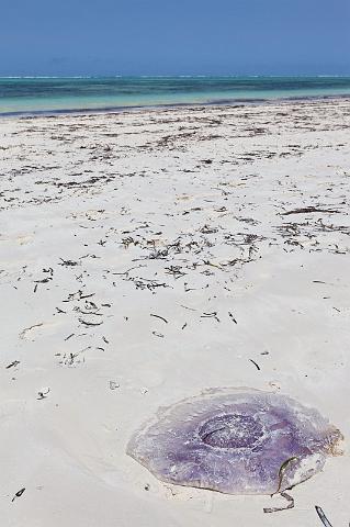 151 Tanzania, Zanzibar, kwal.jpg
